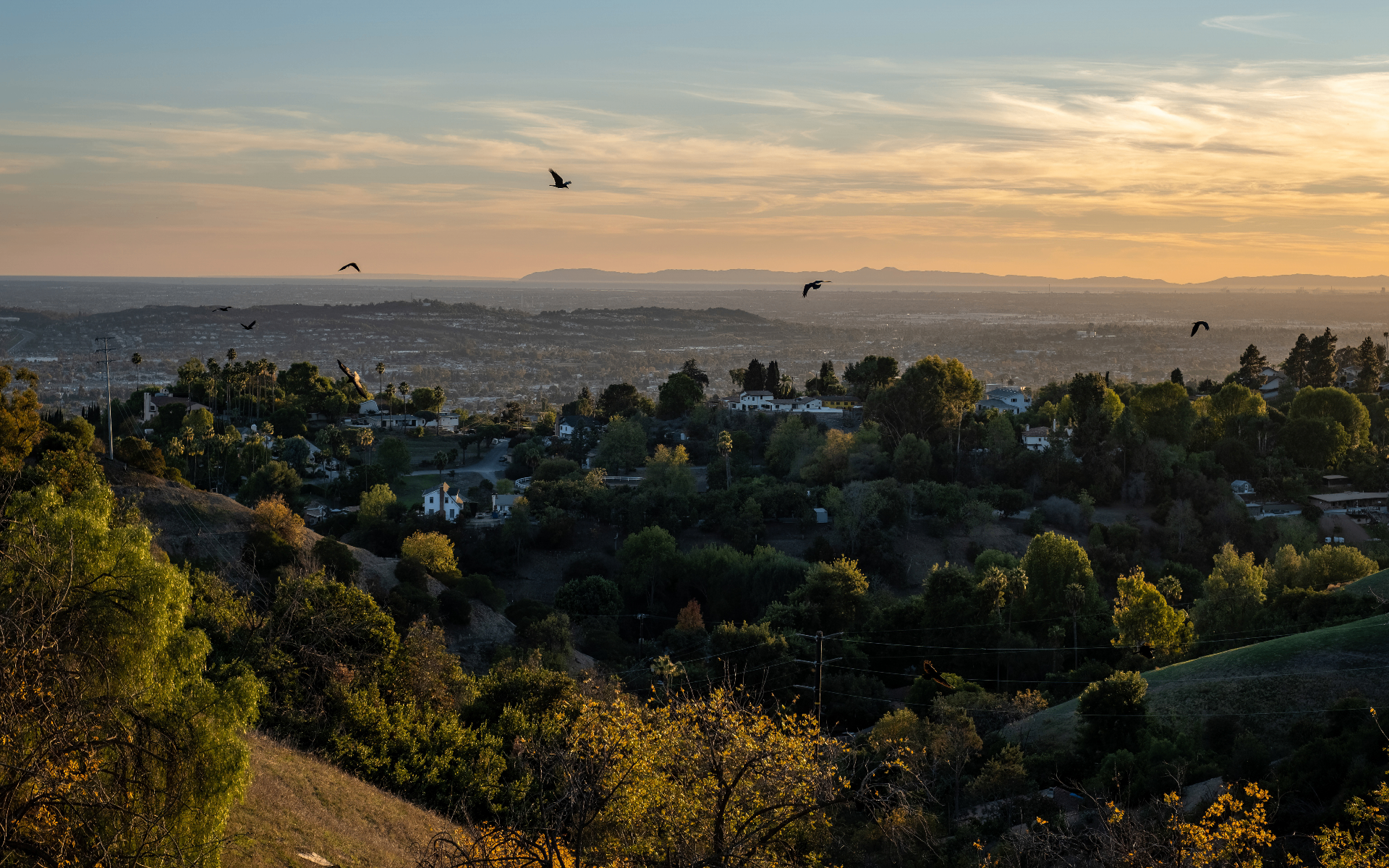 La Habra, California neighborhood